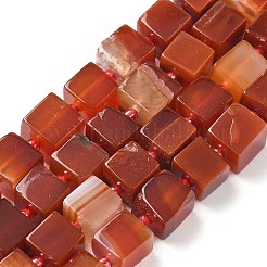 Natural Banded Agate(Dyed & Heated) Beads Strands&nbsp;G-D338-A09-02