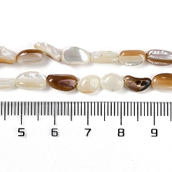 天然貝殻ビーズ連売り  ナゲット  フローラルホワイト  5~9.5x4~6.5x3~4.5mm  穴：0.5mm  約97~99個/連  30.04''（76.3センチメートル）&nbsp;BSHE-H109-09