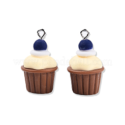 Opaque Resin Pendants&nbsp;CRES-N021-147