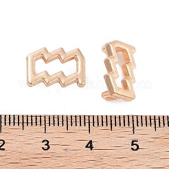 ラックメッキ合金ペンダント  カドミウムフリー＆鉛フリー  ニッケル電気メッキ  12星座  ライトゴールド  水瓶座  9x13x5.5mm  穴：1.8mm&nbsp;PALLOY-S190-05KCG-05