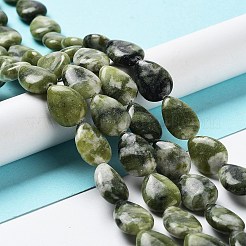 Natural Teardrop Chinese Southern Jade Beads Strands&nbsp;G-L242-23