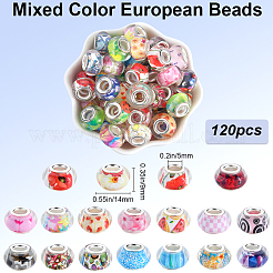 120Pcs Resin European Beads&nbsp;FIND-SP0002-05D