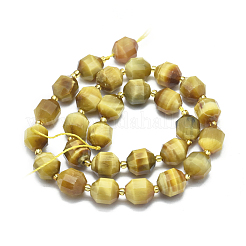 Natural Tiger Eye Beads Strands&nbsp;G-K303-A13-12mm