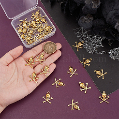 チベット風アロイペンダント100個  スカル  アンティーク黄金  23.5x19.5x3mm  穴：1.6mm&nbsp;FIND-PH0023-02AG