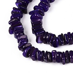 Natural Freshwater Shell Beads Strands&nbsp;SHEL-T020-40B