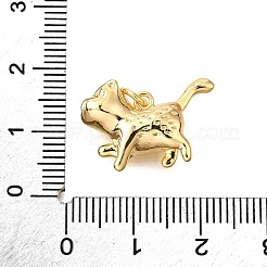 Brass Pendants&nbsp;KK-D356-12G