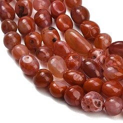 Natural Red Agate(Dyed & Heated) Beads Strands&nbsp;G-C287-A01-02