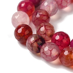 Dyed & Heated Natural Dragon Veins Agate Beads Strands&nbsp;G-P539-A01-24