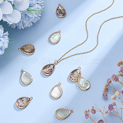 10Pcs 2 Colors Brass Pave Natural Paua Shell Teardrop Pendants&nbsp;DIY-AR0004-79
