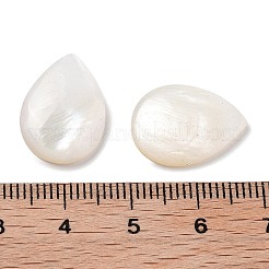Natural Freshwater Shell Cabochons&nbsp;SHEL-D082-01A