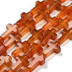 天然赤瑪瑙（染色・加熱）ビーズ連売り  クロス  14.5x11x4.5mm  穴：0.8mm  約27個/連  15.35''（39センチメートル）&nbsp;G-I337-A02-02