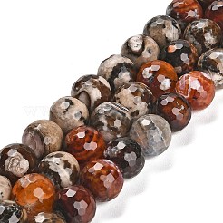 Natural Fire Crackle Agate Beads Strands&nbsp;G-L595-A02-01F