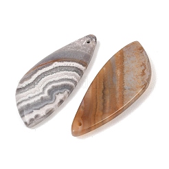 天然なメキシコの瑪瑙のペンダント  葉のチャーム  36.5~39x15.5~16x4.5~5mm  穴：1.2mm&nbsp;G-K381-12