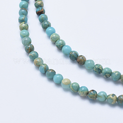 Natural Aqua Terra Jasper Beads Strands&nbsp;G-E444-14A-4mm