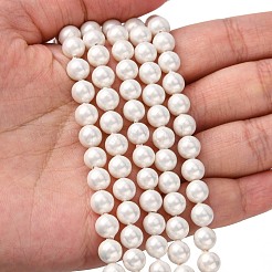 Shell Bead Strands&nbsp;BSHE-R146-6mm-02