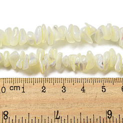 天然ニシキウズガイシェルビーズ連売り  ナゲット  ベージュ  3~5x8~10x6~8mm  穴：0.7mm  約110~112個/連  15.35~16.14''（39~41センチメートル）&nbsp;SSHEL-H072-12