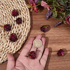 プラスチックペンダント10個  バラの花のチャーム  暗赤色  25~28x22~25x20~23mm  穴：1.5mm&nbsp;KY-SC0002-62