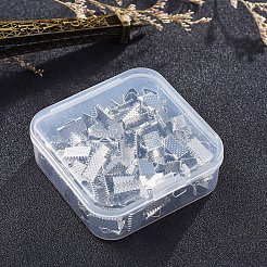 アイアン製カシメリボン止めエンドパーツ  無鉛の  プラチナ  7x10mm  穴：2mm  100個/箱&nbsp;IFIN-YW0001-13P-LF