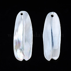 Natural Freshwater Shell Pendants&nbsp;SHEL-S278-046