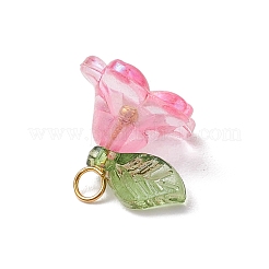 8Pcs Acrylic Charms&nbsp;PALLOY-JF03216