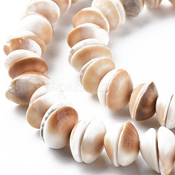 Natural Shell Beads Strands&nbsp;SSHEL-N034-100