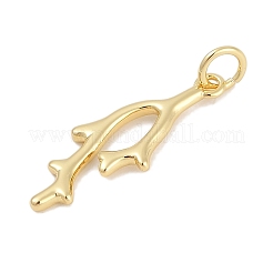 Brass Pendants&nbsp;KK-Q028-66G