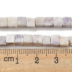 Natural Purple Turquoise Beads Strands&nbsp;G-F631-K25