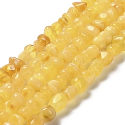 Natural Amber Beads Strands&nbsp;G-L095-J01-02