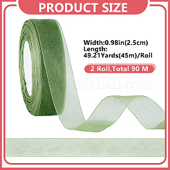 Nylon Gauze Ribbon&nbsp;OCOR-WH0109-094B