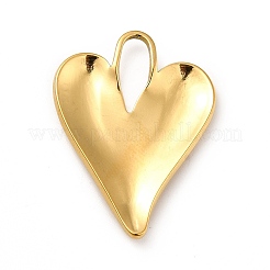 Ion Plating(IP) 304 Stainless Steel Pendants&nbsp;STAS-H172-06G