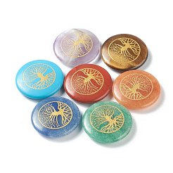Chakra Beginners Kit&nbsp;G-G973-09A