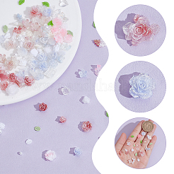 5 Sets 5 Colors Resin Cabochons&nbsp;MRMJ-AR0001-23