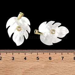 Natural White Shell Carved Pendants&nbsp;SHEL-B180-01G