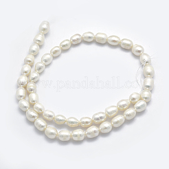 Natural Cultured Freshwater Pearl Beads Strands&nbsp;LS-PEAR-K003-24A
