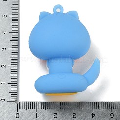 PVC Pendants&nbsp;FIND-R001-01D