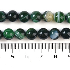 天然石縞瑪瑙/バンデットアゲートビーズ連売り  染め  ラウンド  濃い緑  8mm  穴：1.2mm  約24個/連  7.48''（19センチメートル）&nbsp;G-Z060-A01-B27