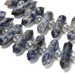 Natural Blue Spot Jasper Double Terminated Point Beads Strands&nbsp;G-H069-B10-01