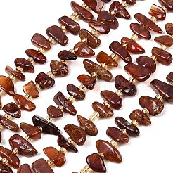 Natural Orange Garnet Beads Strands&nbsp;G-P619-A03-01