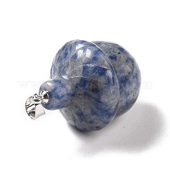 Natural Blue Spot Jasper Pendants&nbsp;G-M393-01P-05