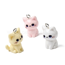 Opaque Resin Pendants&nbsp;RESI-F065-02