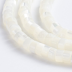 天然トロチッドシェル/トロカスシェルビーズ連売り  コラム  ホワイト  3.5~4x2~2.5mm  穴：0.8mm  約176個/連  15.94インチ（40.5cm）&nbsp;X-SSHEL-L016-13A