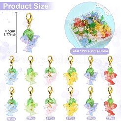 12Pcs 6 Styles Transparent Two Tone Spray Painted Glass with Acrylic Pendant Decorations&nbsp;HJEW-YW00381