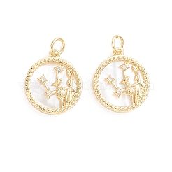 Brass Micro Pave Cubic Zirconia Pendants&nbsp;ZIRC-E164-36H-G
