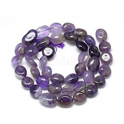 Natural Amethyst Beads Strands&nbsp;G-R445-8x10-02