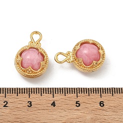 304 Stainless Steel Resin Pendants&nbsp;STAS-C174-17G-01