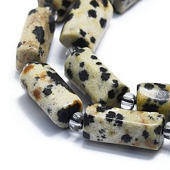 Natural Dalmatian Jasper Beads Strands&nbsp;G-K245-I03-01