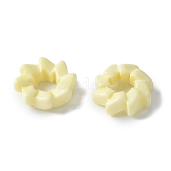 Natural Rainbow Alashan Agate European Beads&nbsp;G-G194-06B
