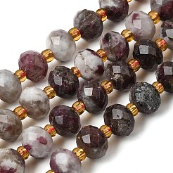 Natural Plum Blossom Tourmaline Beads Strands&nbsp;G-D105-B01