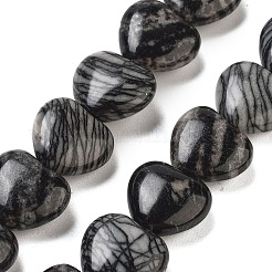 Natural Black Netstone Beads Strands&nbsp;G-B022-27C