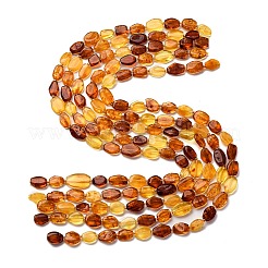 Gradient Color Natural Amber Beads Strands&nbsp;G-F803-E01-01
